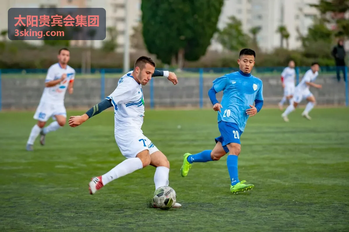 太阳贵宾会集团企业合规咨询服务